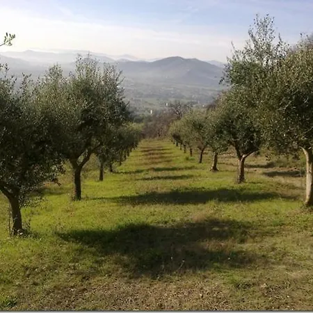 Lägenhet Il Cardellino Residenze Rurali App1 San Valentino di Villa