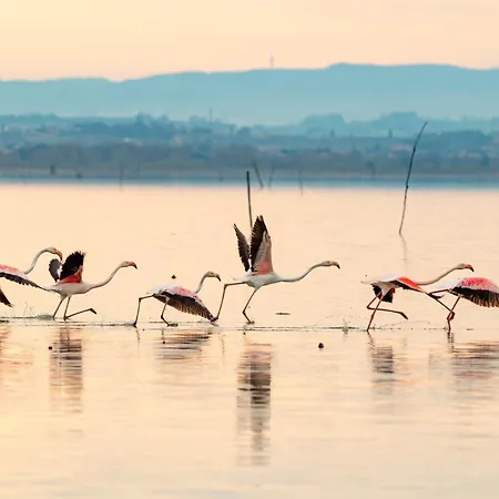 Il Cardellino Residenze Rurali App1 Appartement *