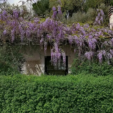 Il Cardellino Residenze Rurali App1 *