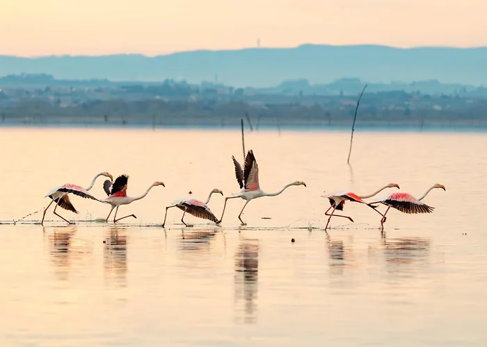 Il Cardellino Residenze Rurali App1 Apartamento *