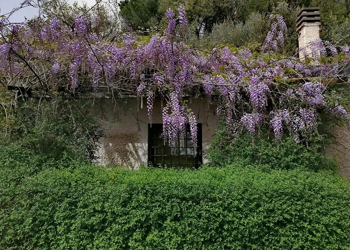 Il Cardellino Residenze Rurali App1 *